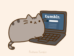 fat,cat,fun,tumblr,blue,internet