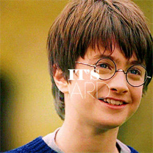 harry potter,draco,harry,hermione,ron