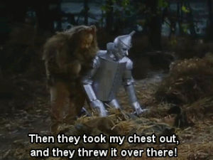 wizard of oz,cowardly lion,the wizard of oz,scarecrow,funny,movie,movies,humor,et,puns,tin man,the scarecrow,the cowardly lion,the tin man,they took my chest out