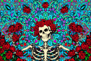 trippy,pretty,skeleton,blues and reds