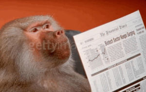 office monkey,baboon,newspaper,reading,newsletter,meme,memes,read