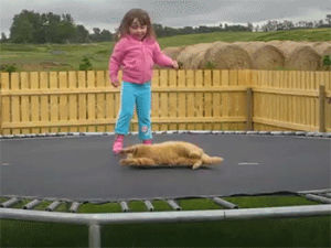 trampoline,regret,cat,girl