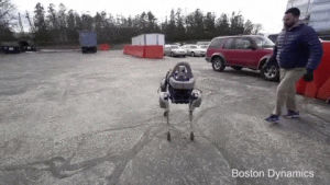 boston dynamics,robot dog,kick,ouch,robot