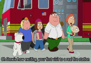 lois griffin,tv,funny,family guy,peter griffin,fg,meg griffin