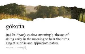 sunrise,wordstuck,nature,g,morning,birds,sing,wake up,rise,thousand,noun,swedish,gkotta,early cuckoo morning,dawn picnic to hear the first birdsong,gokotta