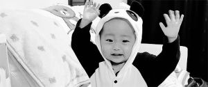 asian,teddy,dress,hug,black and white,crazy,panda,young