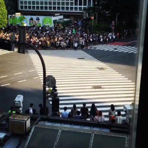 crosswalk,shibuya,world,tokyo,crossing