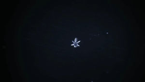 snowflake,video,time