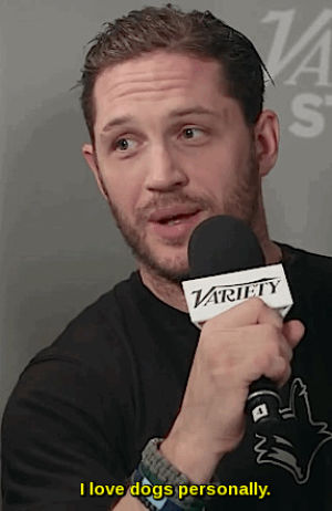 rocco,dog,interview,puppy,tom hardy,puppies,the drop,noomi rapace,james gandolfini,dog lover,tom hardy dog lover