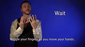 sign language,sign with robert