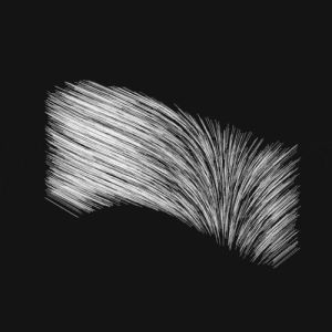black and white,processing,perfect loop,creative coding,p5art