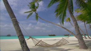 maldives,windy,nature,day