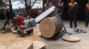 saw,v8,wood,log,sawing a log