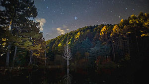 landscape,nature,clouds,trees,lake,meteor shower