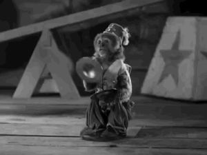 monkey,cymbals,classic film,warnerarchive,son of kong