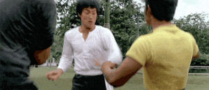 bruce lee,like a boss,martial arts,kung fu,snack