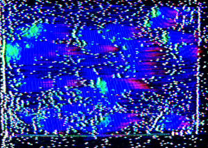 video synthesis,nihilminus,animation,glitch,abstract,glitch art,video art,crt,video synth,analog video