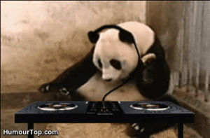 top,panda,cute,pandas,funny,lol,animals,baby,animal,cutes,baby panda,babies pandas