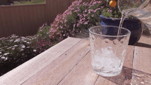 water,ice,cinemagraph,hot,summer,flowers,photogaphy