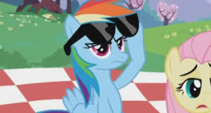 rainbow dash,deal with it,my little pony,friendship is magic