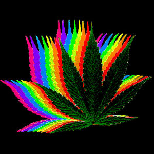 pot leaf,colorful,trippy,rainbow,psychadelic