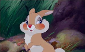 bambi,love,animation,disney,cute,romance,bunny,embrassment
