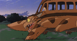 cat bus,my neighbor totoro