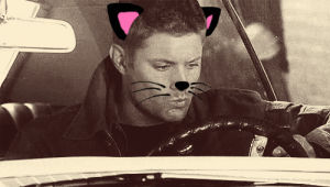 misha collins with cat ears,supernatural,spn,misha collins,jensen ackles,misha cat,jensen cat,jensen with cat ears,misha mimimi
