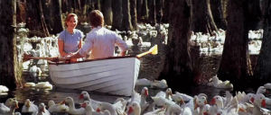 romantic,tv,animation,movie,movies,show,couple,graphics,graphic,media,shows,ducks,the notebook,boats