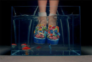 shoes,crazy,fish,wonder girls,bowl,i feel you