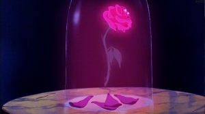 beauty and the beast,disney,rose