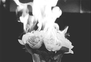fire,black and white,flowers