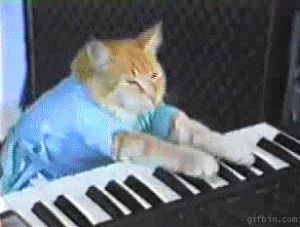 keyboard cat,game,forum,image,react