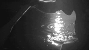 water,night,boy,men,swimming,row,scull