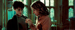 hermione,harry,harry potter,poa