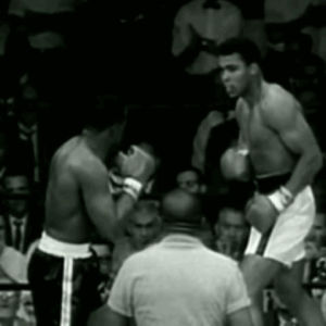 muhammad ali,boxing,knockout,sonny liston,sting like a bee