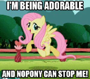 my little pony,fluttershy,anime,cute,adorable,memes,friendship is magic,im being adorable