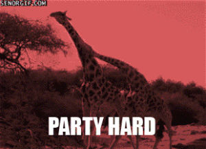 party hard,funny,giraffe