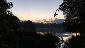 sunrise,lake alice,uf,university of florida