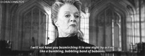 minerva mcgonagall,maggie smith,harry potter,minerva,hp4,echelonmine,harry potter and the globet of fire