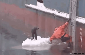 fisherman,dog,ice,rescue