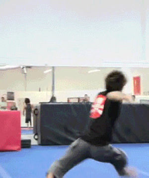 Gif Steve Terada Flip Martial Arts Animated Gif On Gifer By Grokus