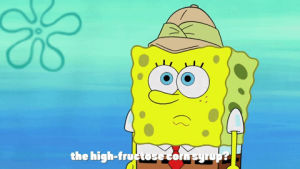spongebob squarepants,season 9,episode 12,lost in bikini bottom