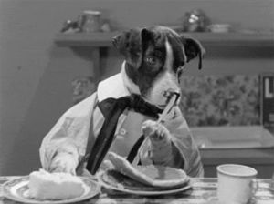 pancakes,dog human,dogville comedies,dog,black and white,breakfast,butter
