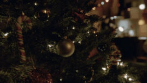 winter,christmas,glee,christmas tree,cozy,glee christmas,candy cane