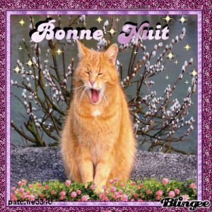 La Roux Gif Find On Gifer