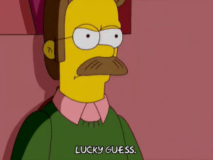 episode 1,angry,mad,season 20,ned flanders,anger,20x01,dim