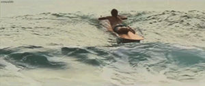 wave,surfing,surfer