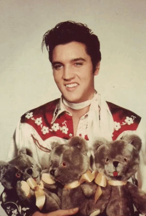 elvis,thank you very much,bears,thank you beary much