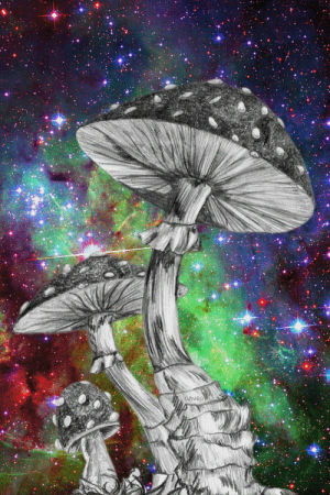 hippie,psychedelic,art,trippy,head,trip,60s,pot,shrooms,long hair,white rabbit,feed your head